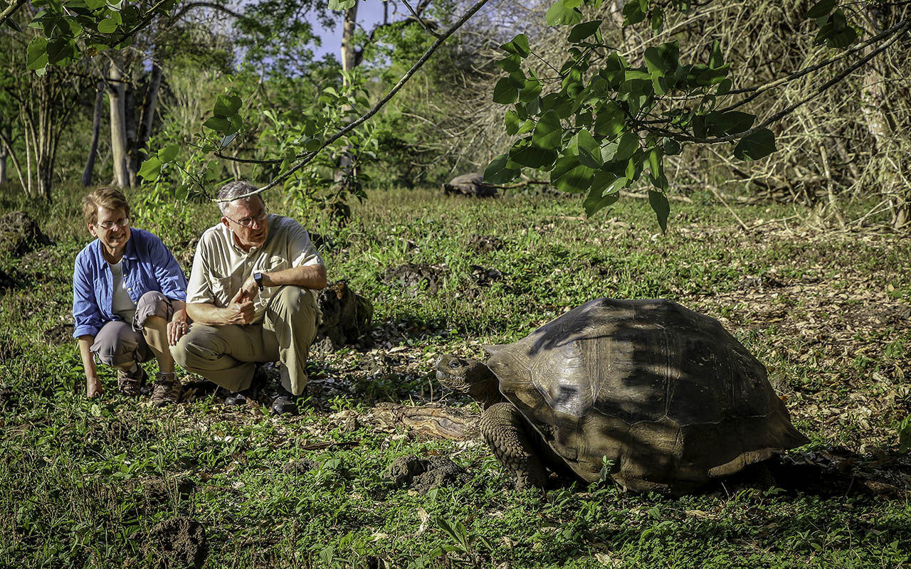 Galapagos Tortoise